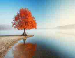 智​能‌HTML5工﻿具‌